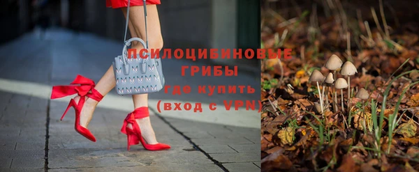 а пвп мука Вяземский